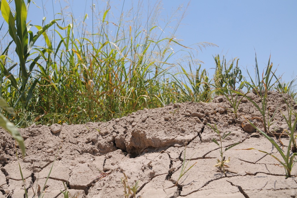 Uruguay extiende emergencia agropecuaria por sequía