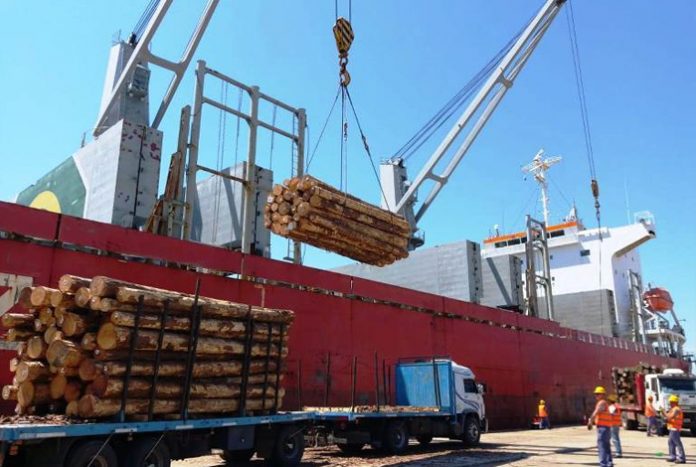 Unión Europea pide consulta con Rusia sobre restricciones en exportación de madera . Noticias en tiempo real