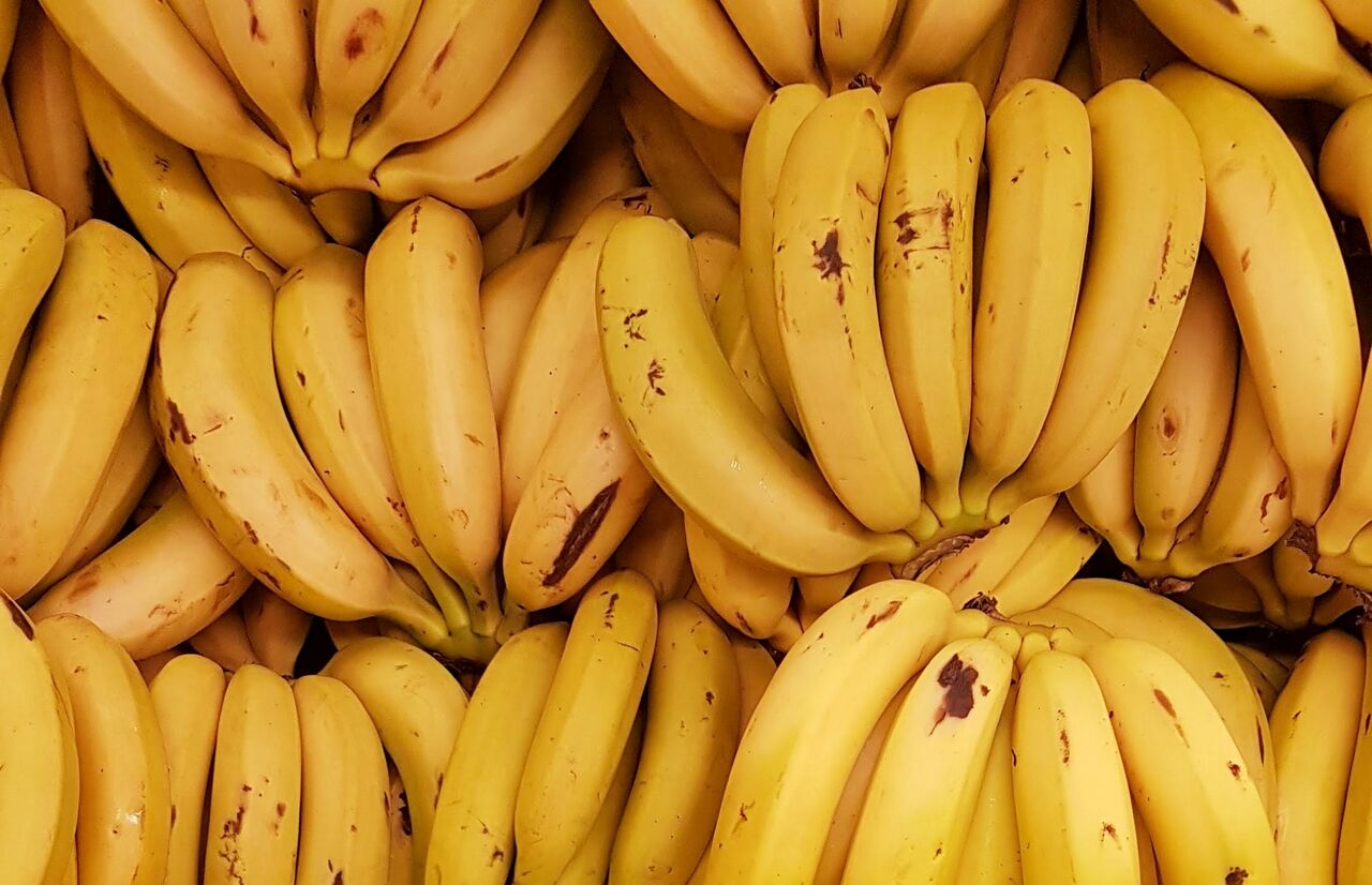 Ecuador presenta plan para sector bananero