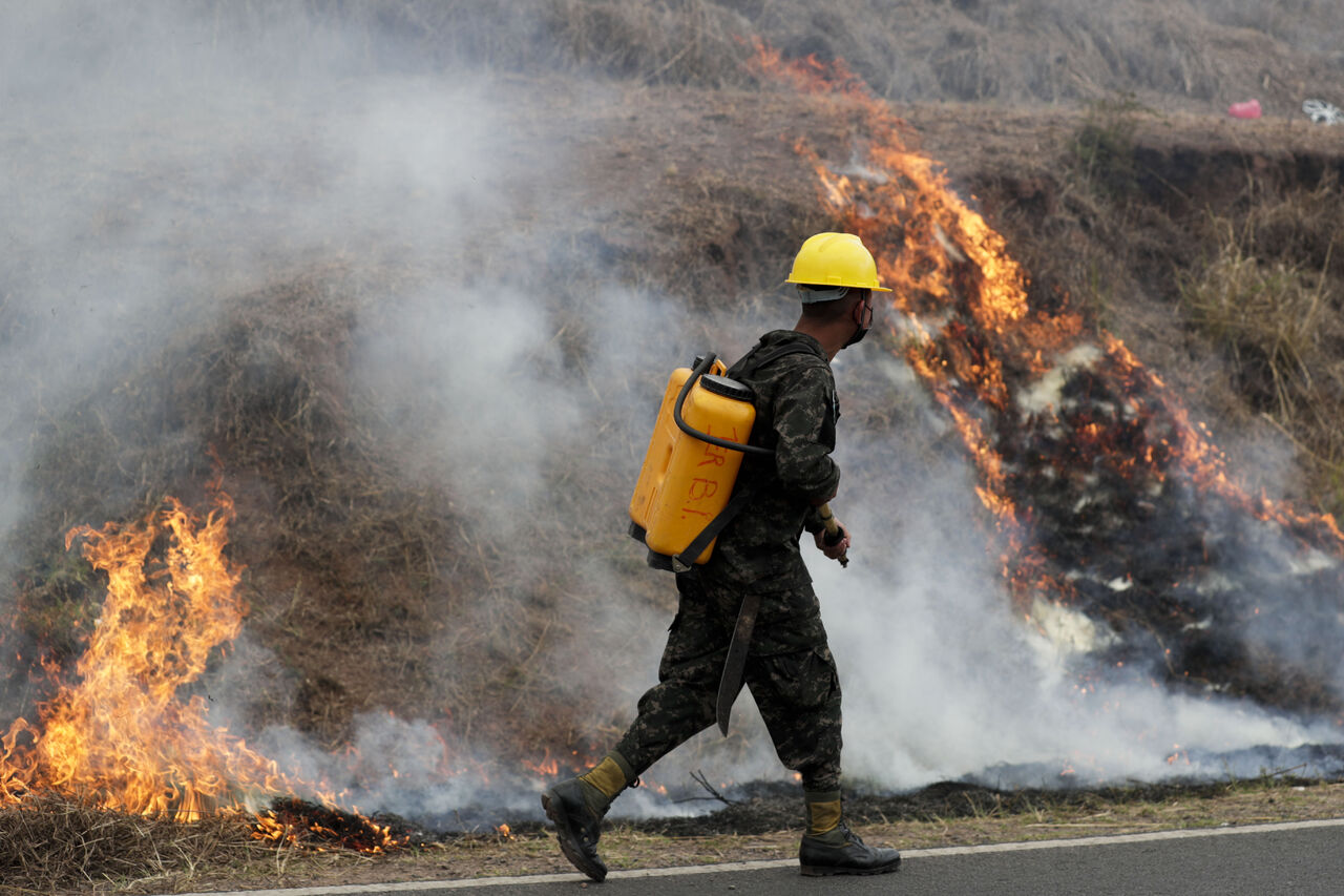 Más de 78 mil hectáreas de bosques afectadas por los incendios en Hondura