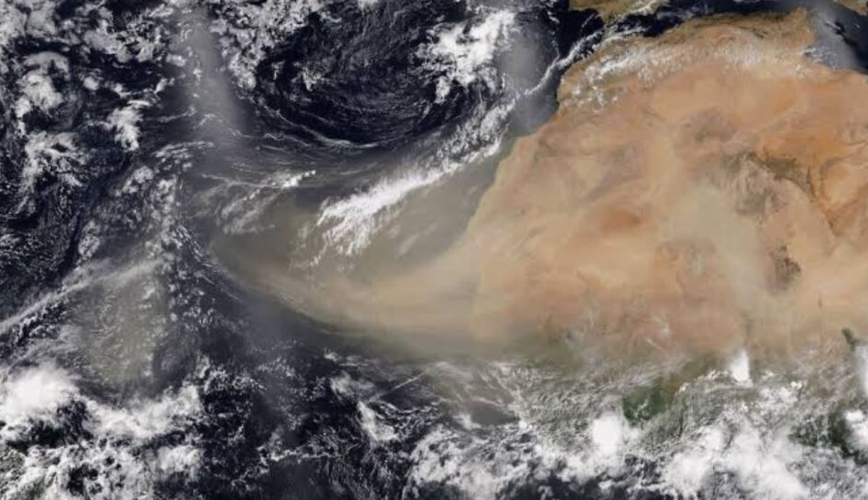 ¿Qué es la nube de polvo del Sahara y por qué llegó a México?  . Noticias en tiempo real