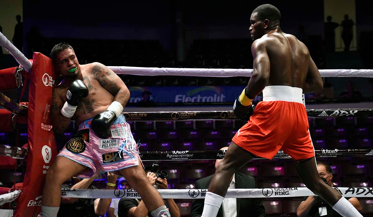 Boxeadores cubanos debutan con éxito en México. Noticias en tiempo real