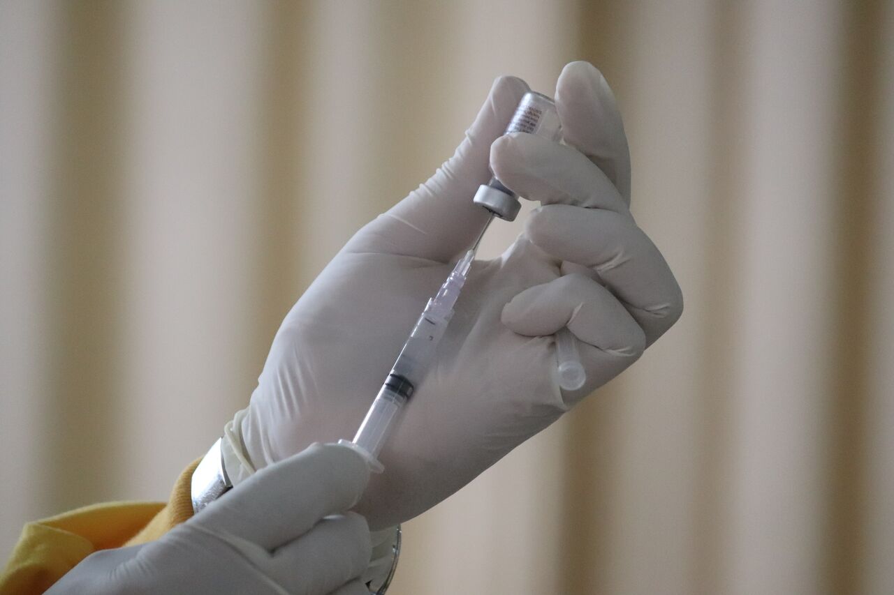 UE apoya vacunación como herramienta contra la gripe aviar