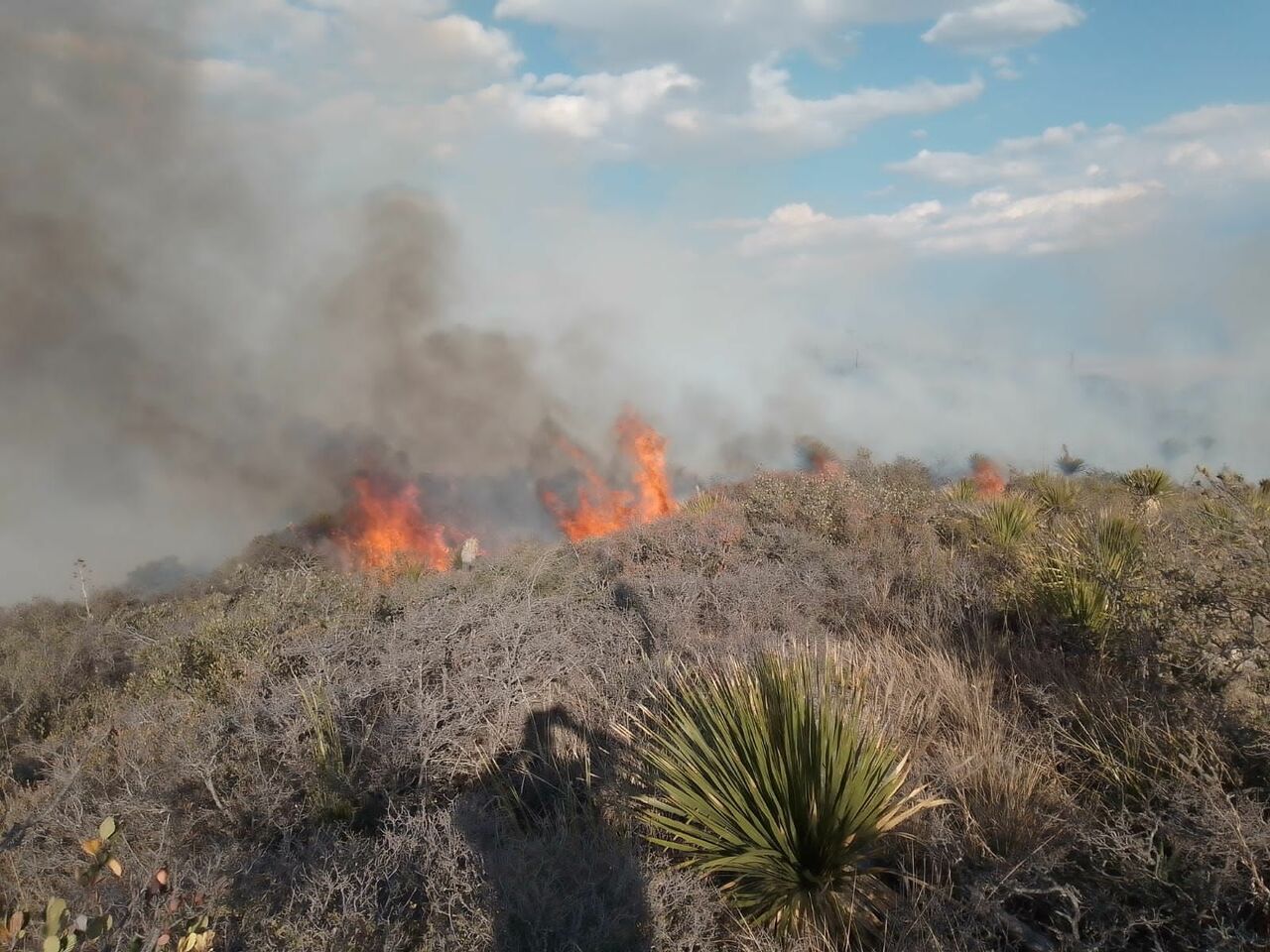 Se mantienen cinco incendios activos en Coahuila