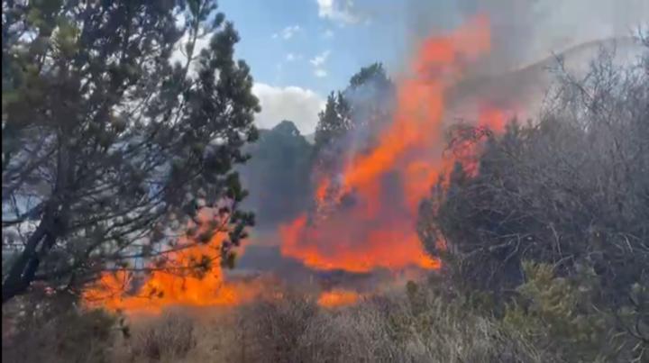 Se mantienen ocho incendios activos en Coahuila