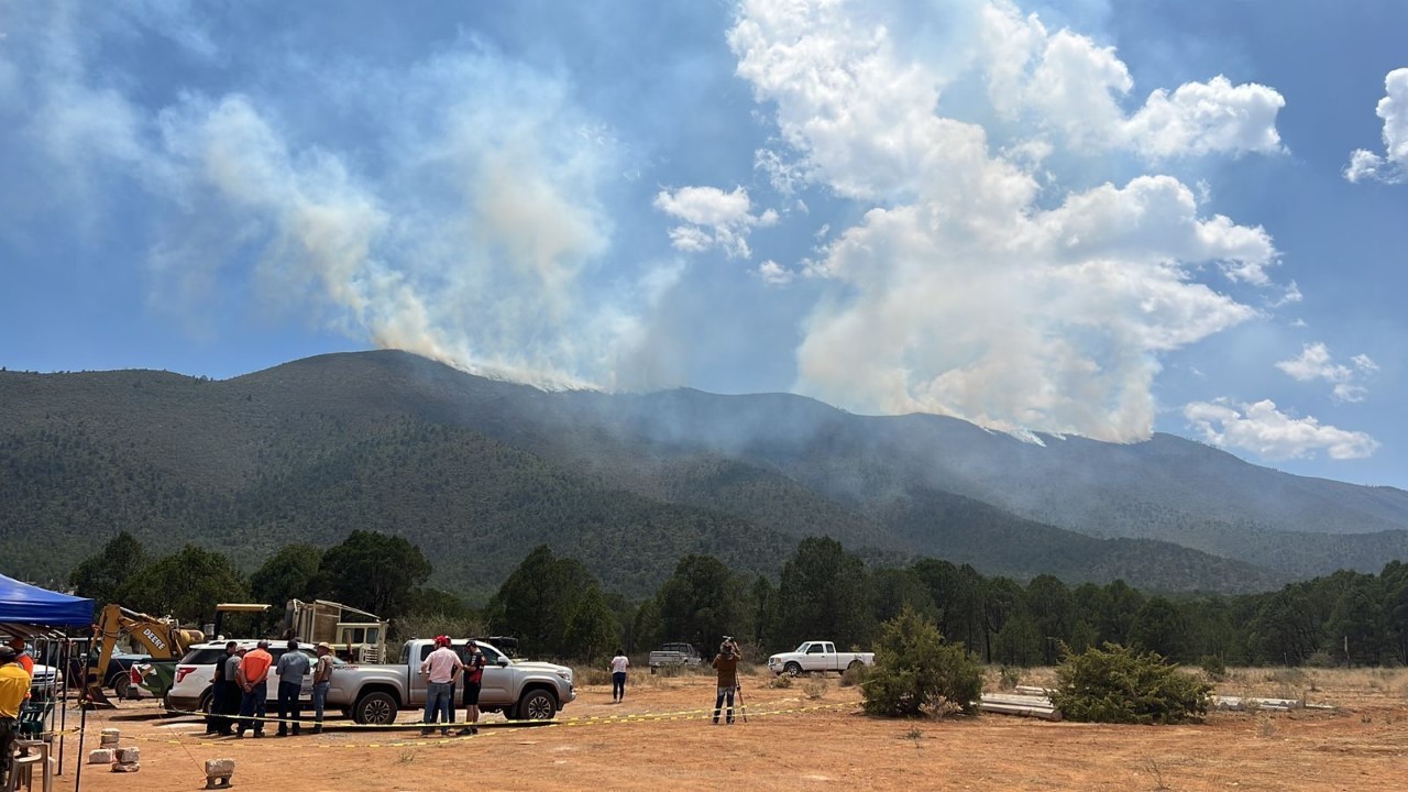 Por liquidar, incendios forestales en Arteaga