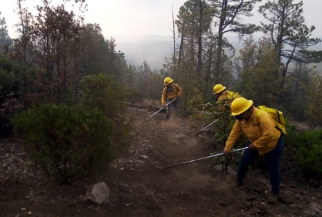Reportan 17 incendios forestales activos en Durango