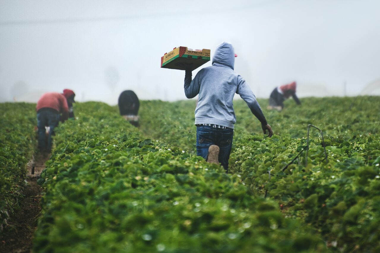 México e India apuestan por formación de profesionales en materia agro
