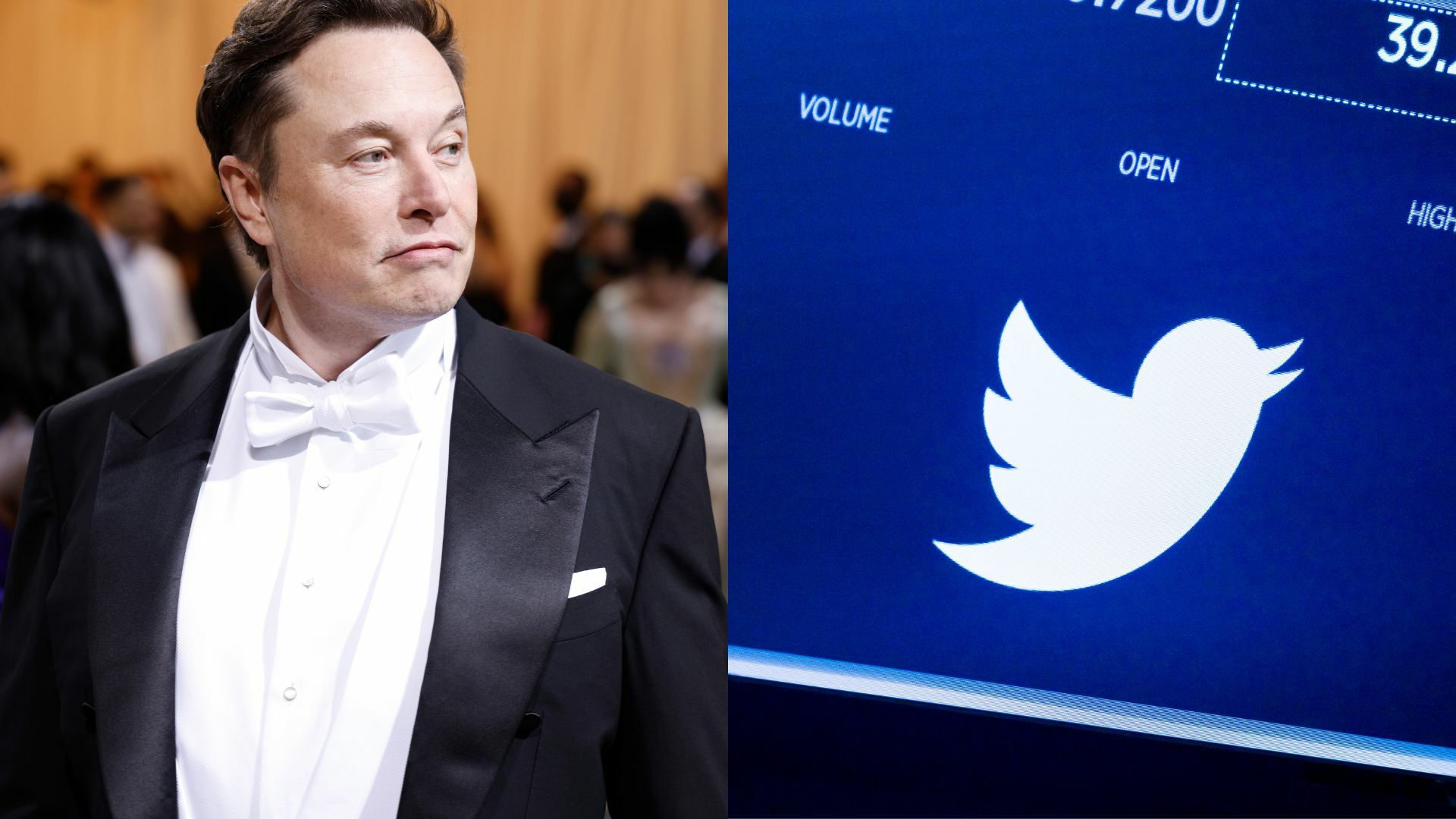 Elon Musk asegura que la compra de Twitter podría cerrarse si logra datos de usuarios. Noticias en tiempo real