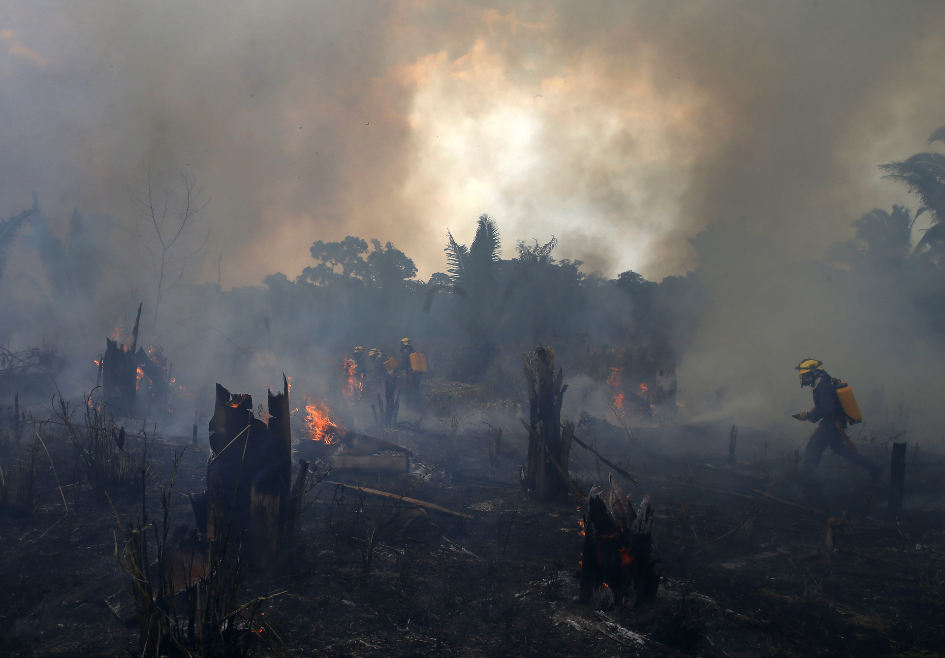 Brasil experimenta los peores incendios forestales en más de diez años. Noticias en tiempo real