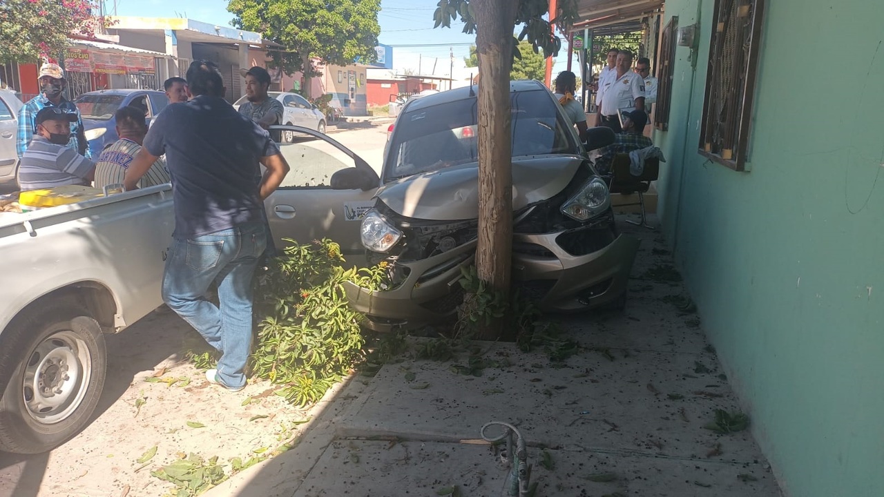 Repartidor de tortillas se impacta contra un árbol en Torreón