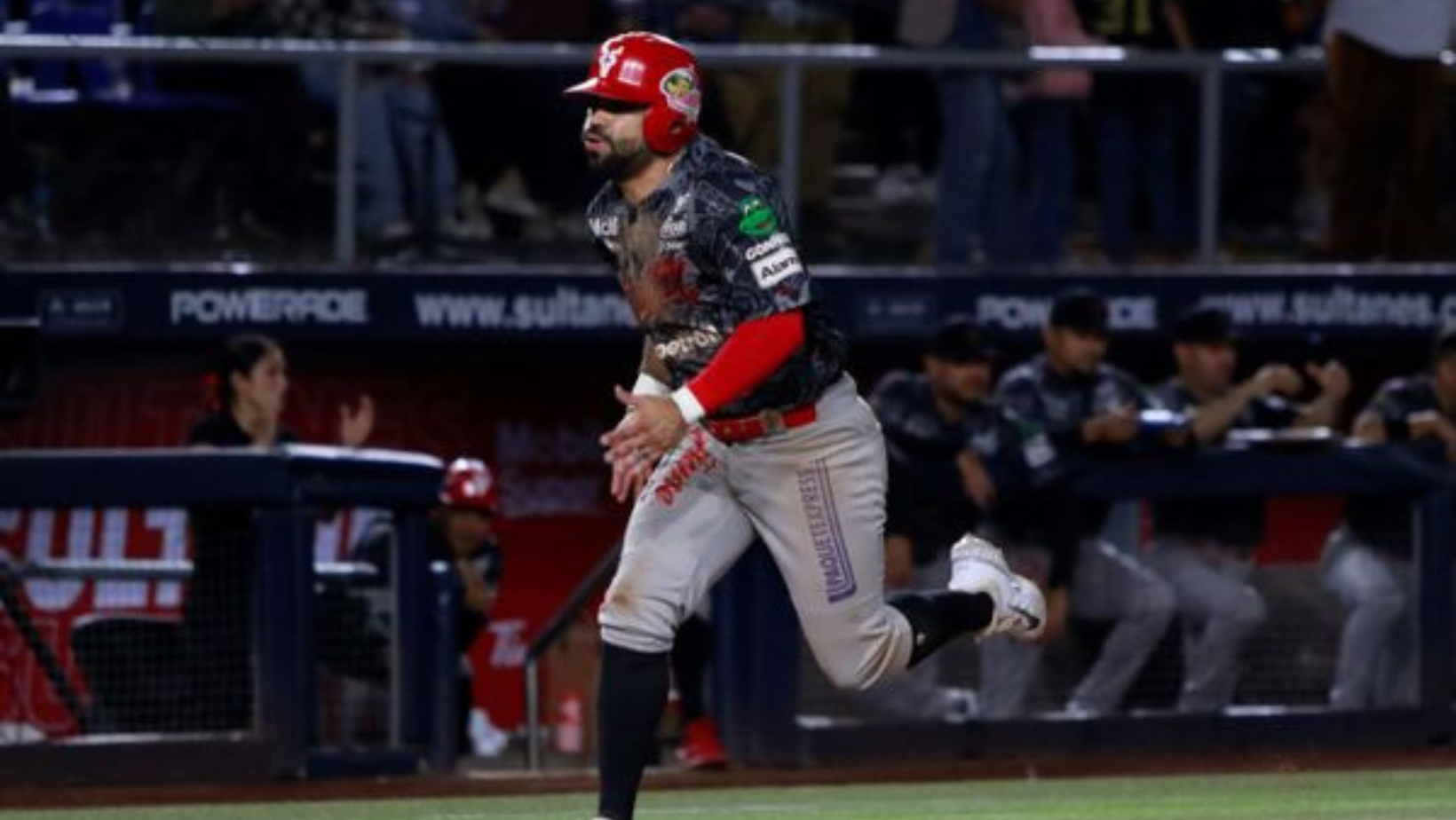 Sigue Venados de Mazatlan en gran racha de la Liga Mexicana del Pacífico . Noticias en tiempo real