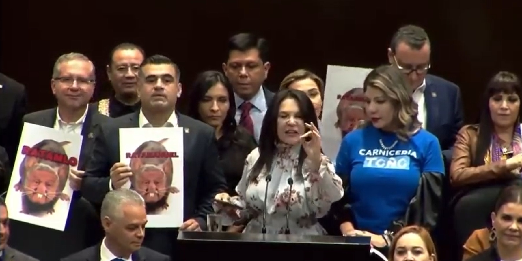 \'Rata Manuel\': Diputada del PAN le canta a AMLO canción de Paquita la del Barrio . Noticias en tiempo real