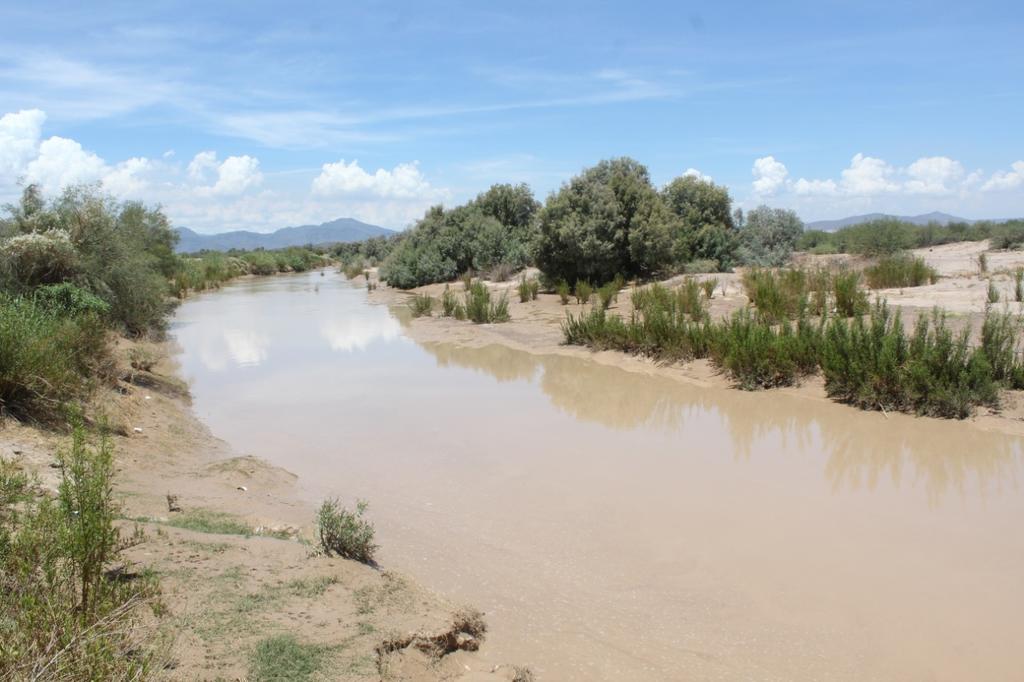 Van por proyecto de restauración para el río Aguanaval. Noticias en tiempo real