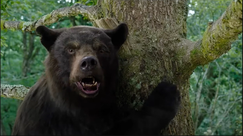 Cocaine bear: la película inspirada en un hecho real sobre un oso que comió cocaína estrena tráiler. Noticias en tiempo real