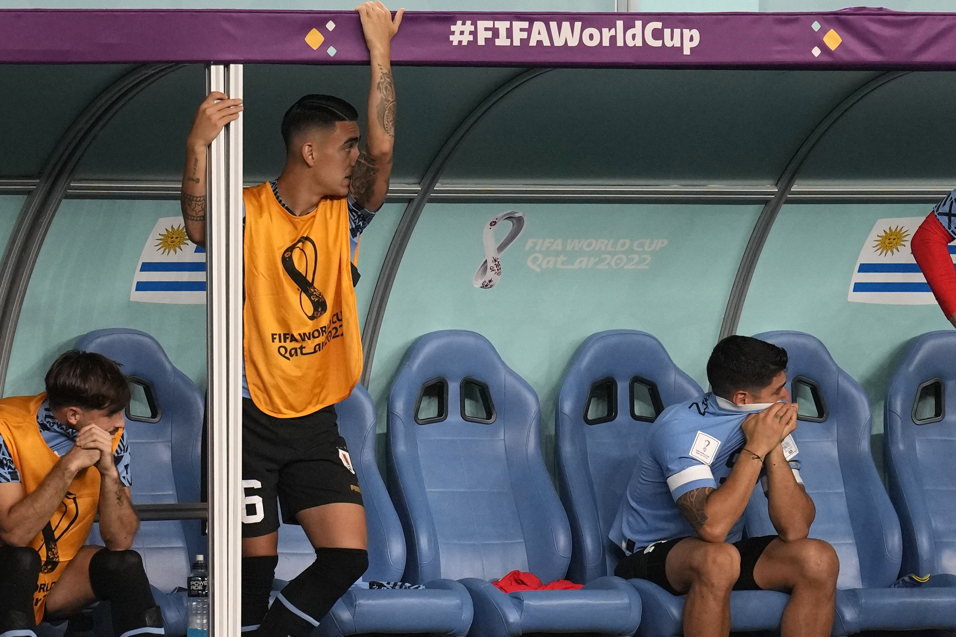 ¡No les alcanza! Uruguay derrota 2-0 a Ghana pero queda fuera de Qatar 2022. Noticias en tiempo real
