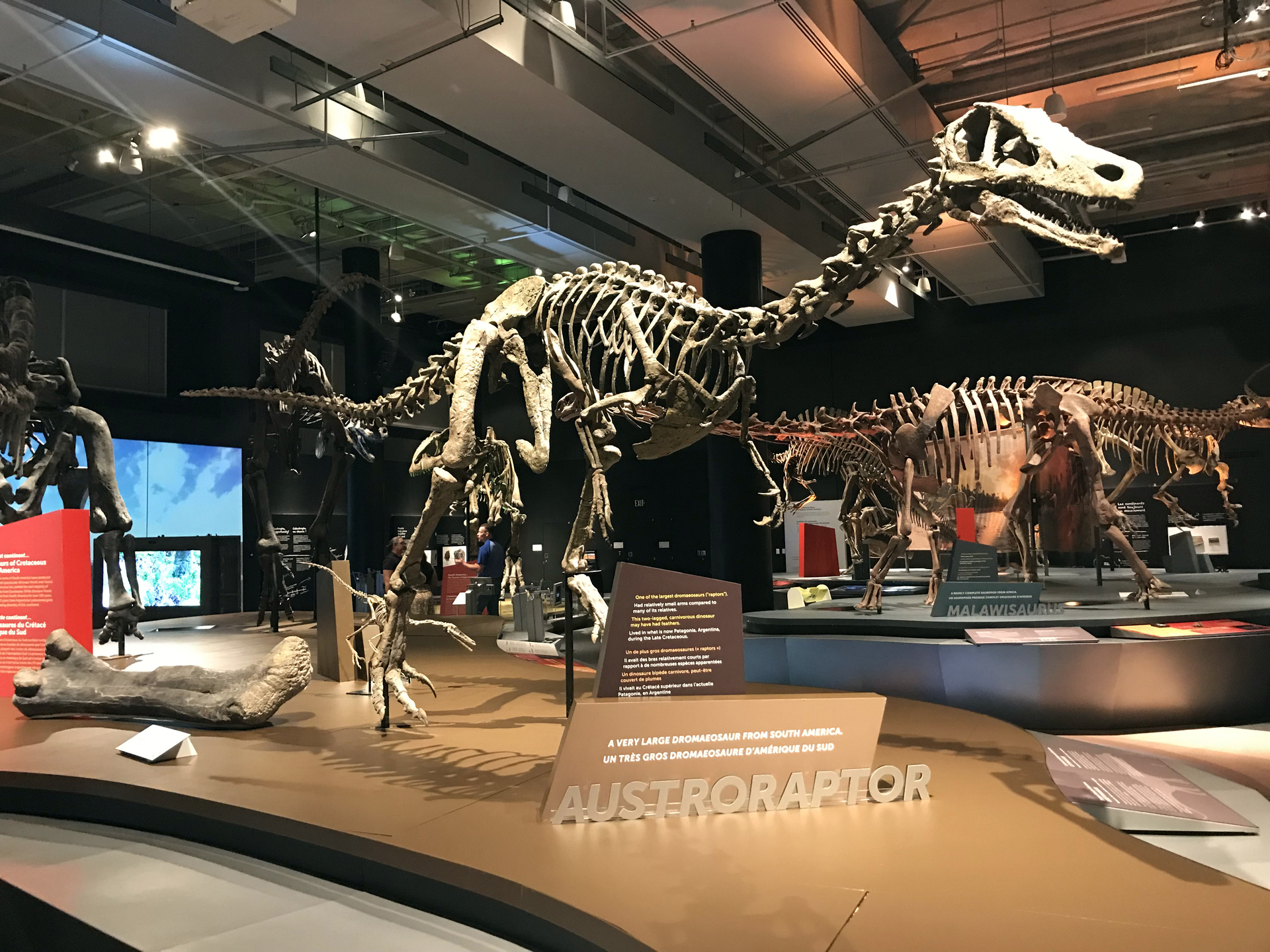 Cambio climático fue la clave en el ascenso de los dinosaurios. Noticias en tiempo real