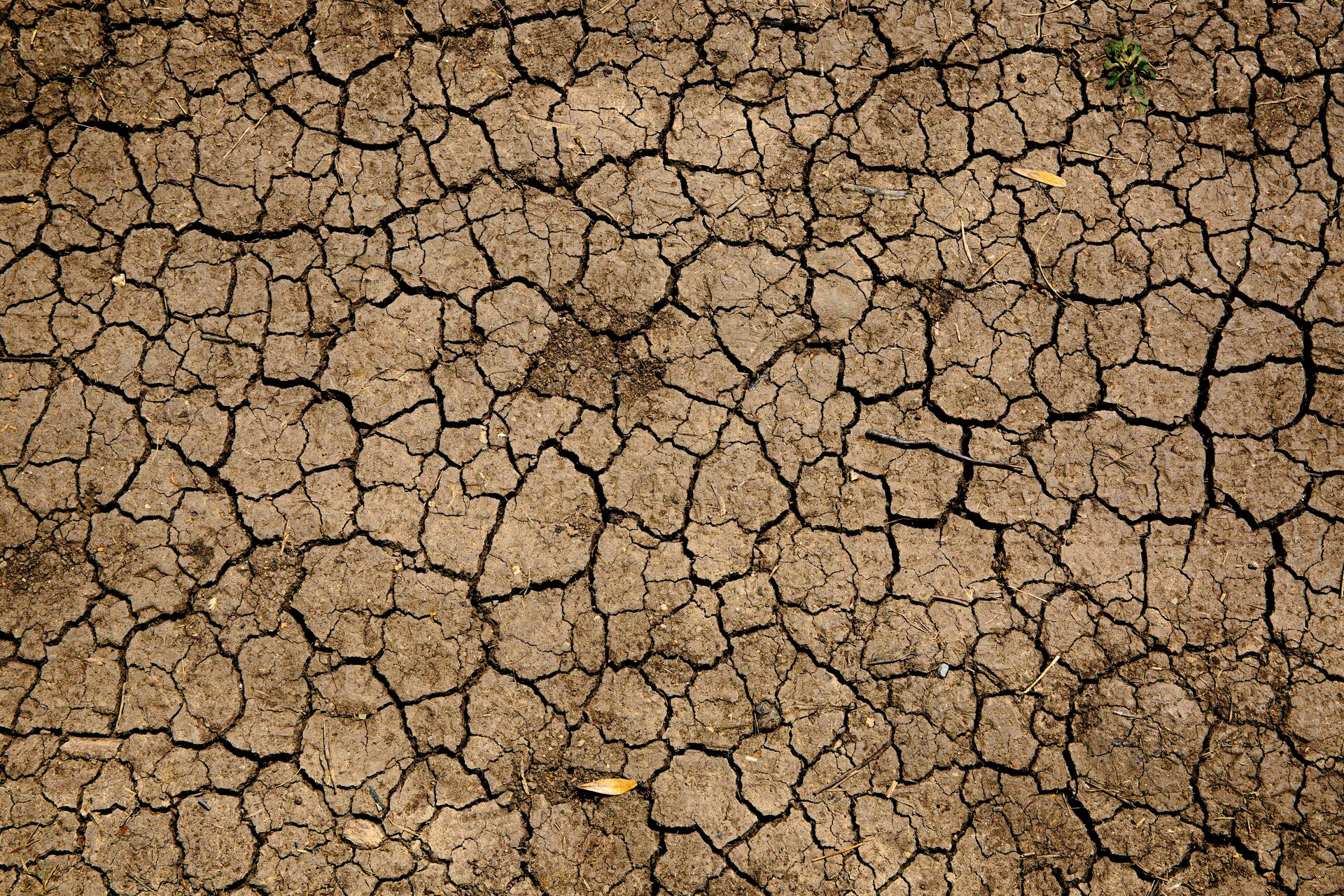 Sequía, olas de calor y grandes incendios sacudieron a España en 2022. Noticias en tiempo real