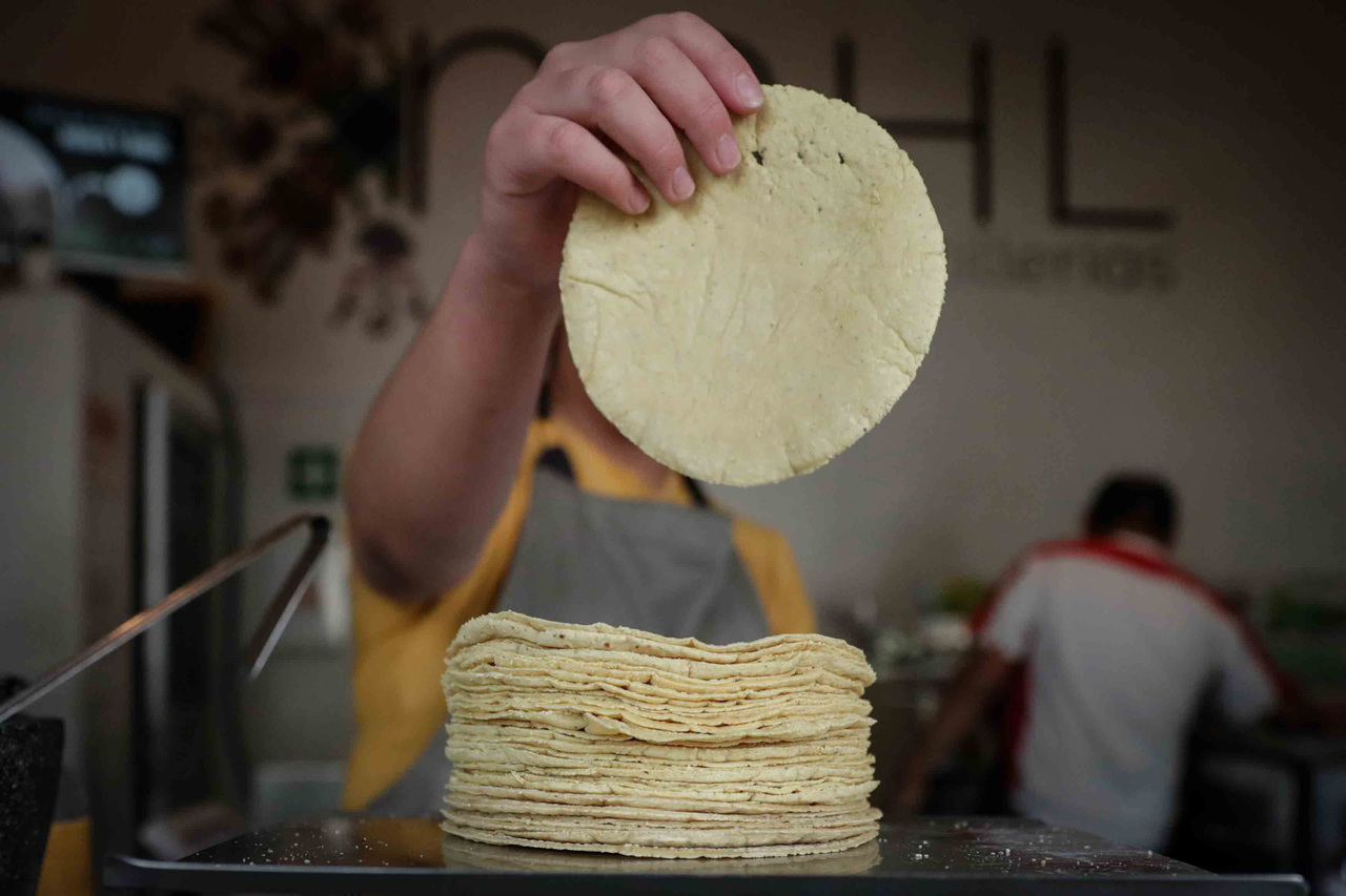 Elevado, precio de tortilla en La Laguna. Noticias en tiempo real