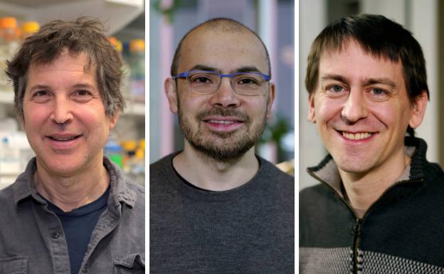 BBVA premia a científicos que han revolucionado el diseño de proteínas con IA. Noticias en tiempo real