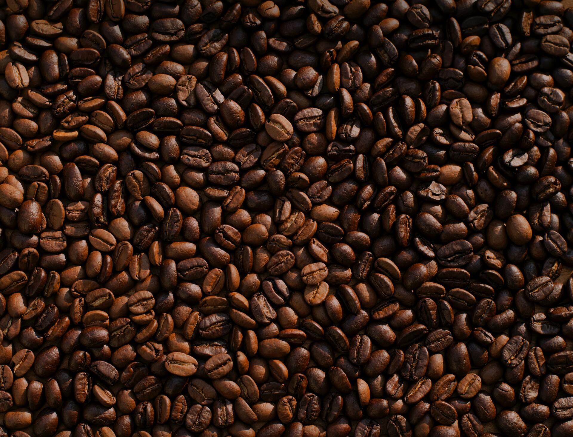 Crisis climática y bajos precios afectan producción de café. Noticias en tiempo real