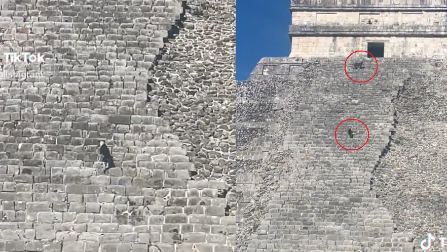 Perritos burlan la seguridad de Chichén Itzá . Noticias en tiempo real