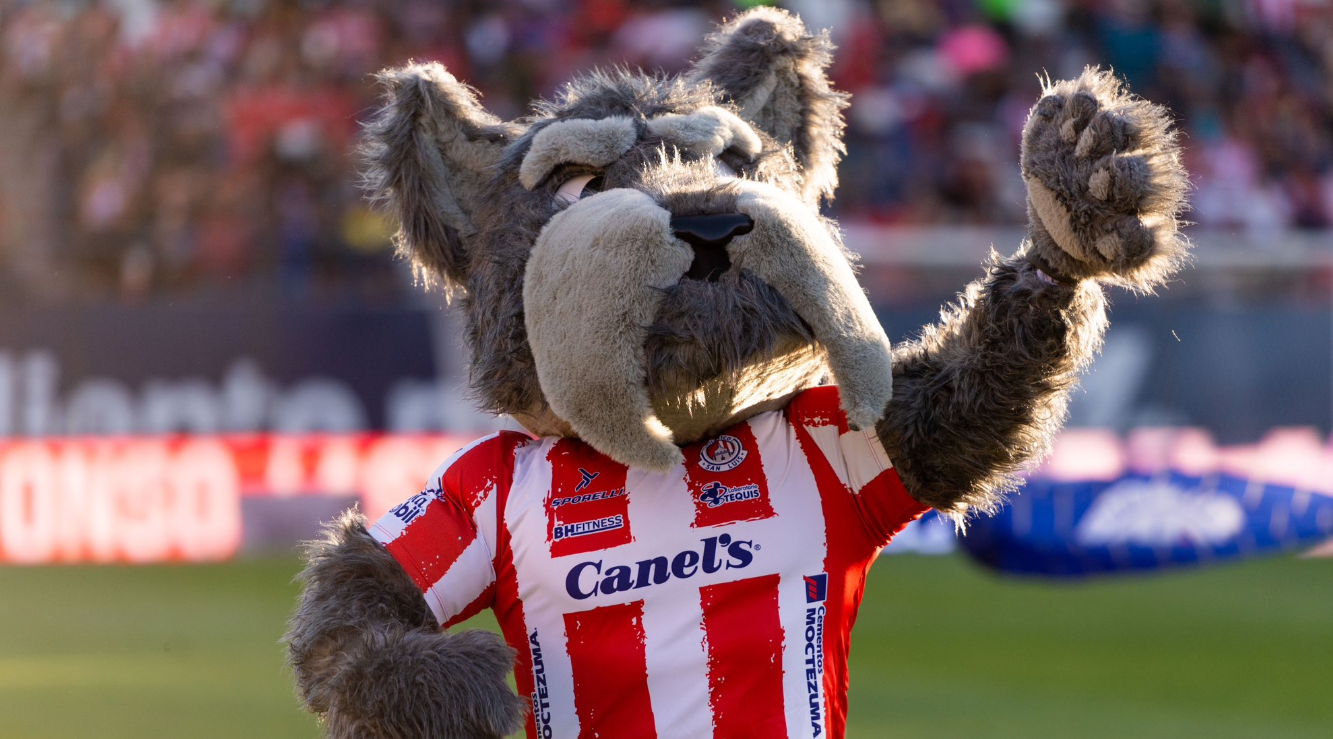 La explicación geográfica por la que un Schnauzer es la mascota del Atlético San Luis . Noticias en tiempo real