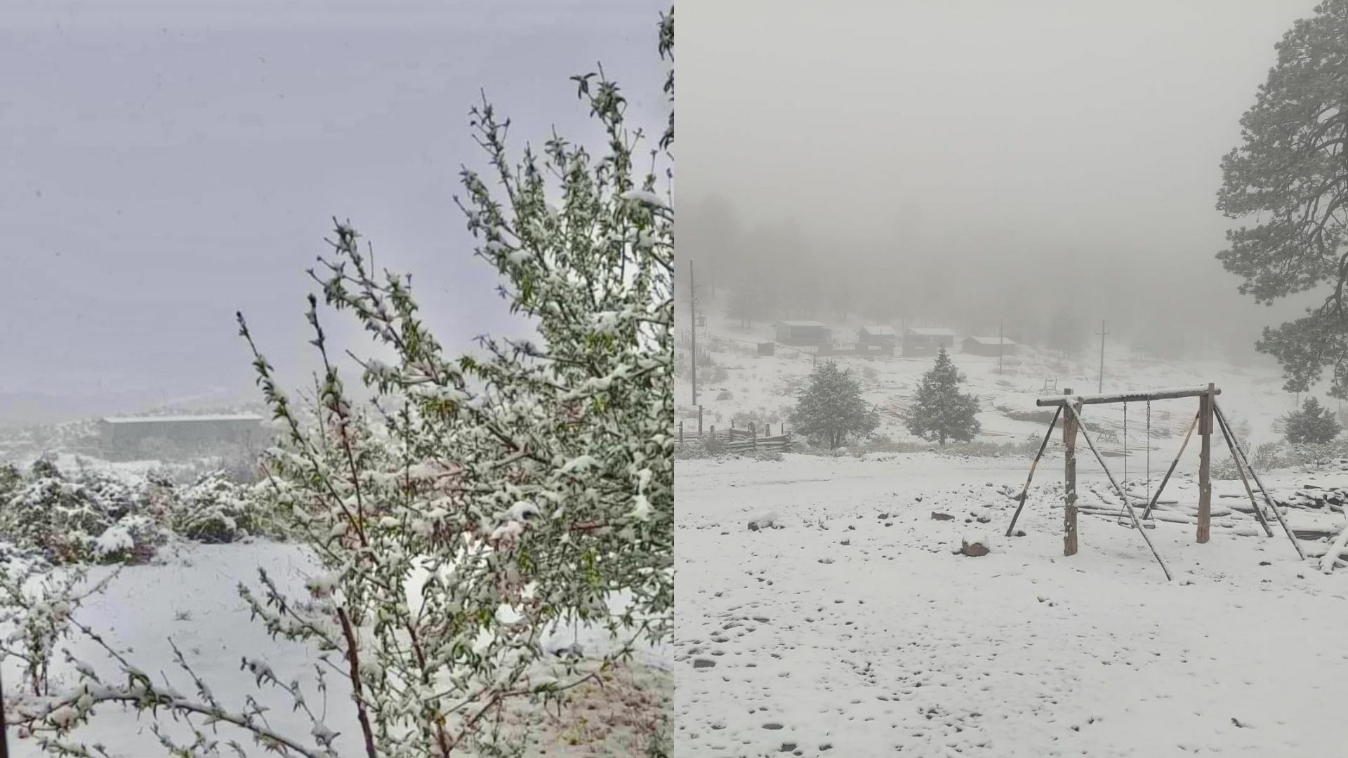 ¿Y la primavera? Increíbles imágenes de nieve en Durango y Coahuila en pleno marzo. Noticias en tiempo real