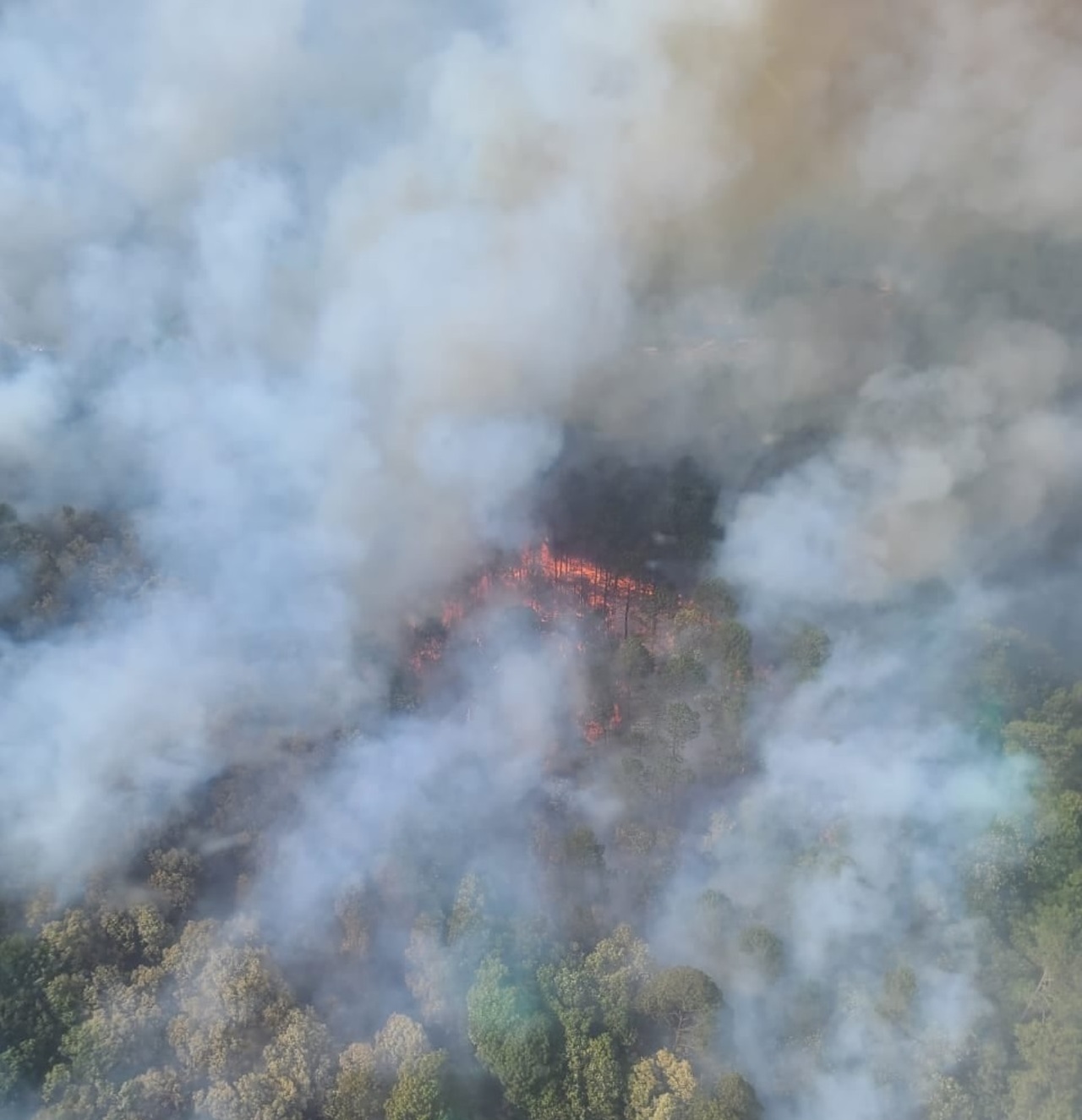 Registra Durango 26 incendios en 2023. Noticias en tiempo real