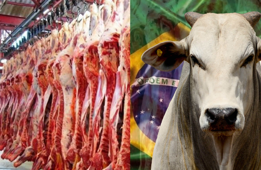 China levanta embargo a carne brasileña tras caso atípico de vacas locas. Noticias en tiempo real