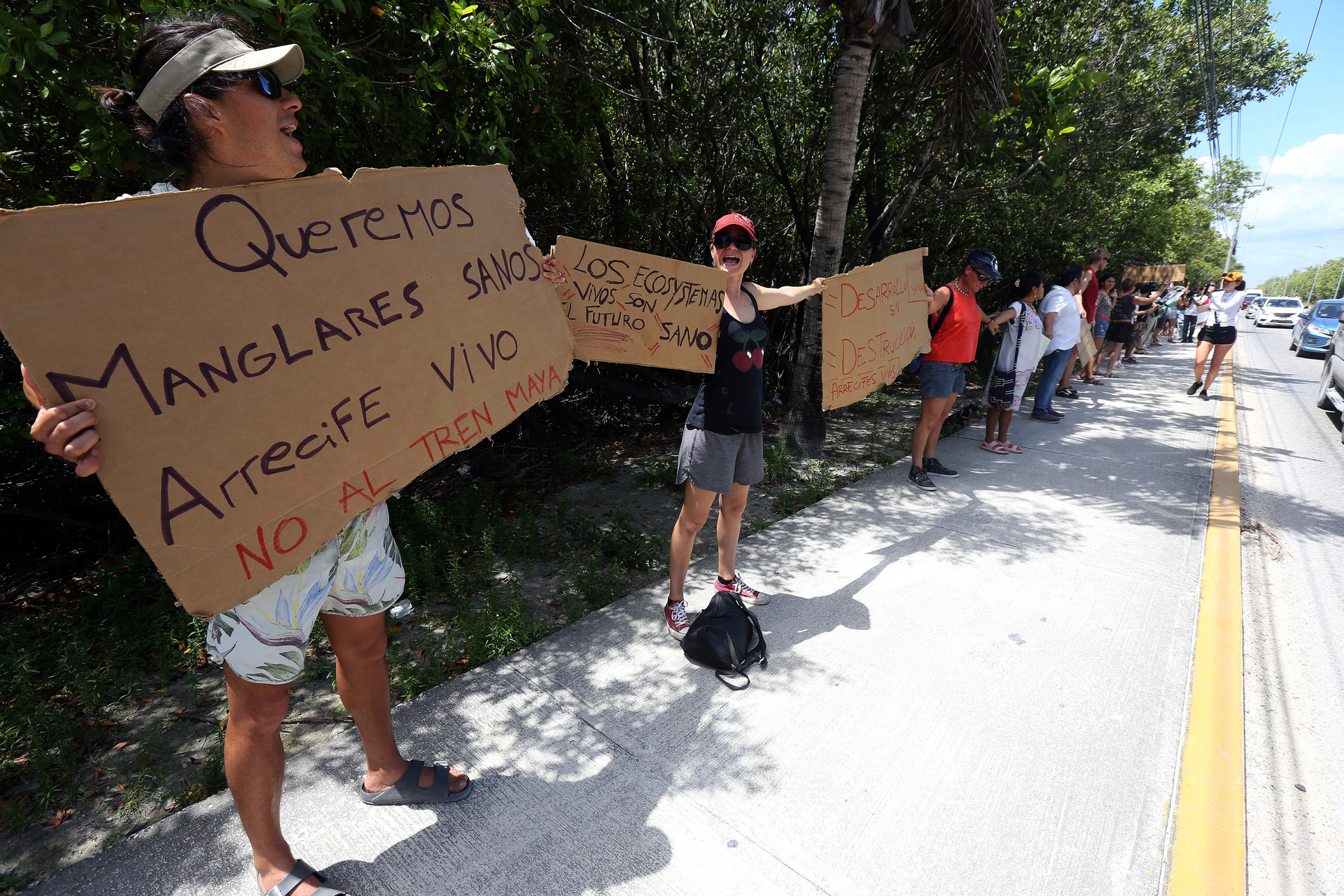 Ambientalistas realizan cadena human en protesta contra Tren Maya. Noticias en tiempo real