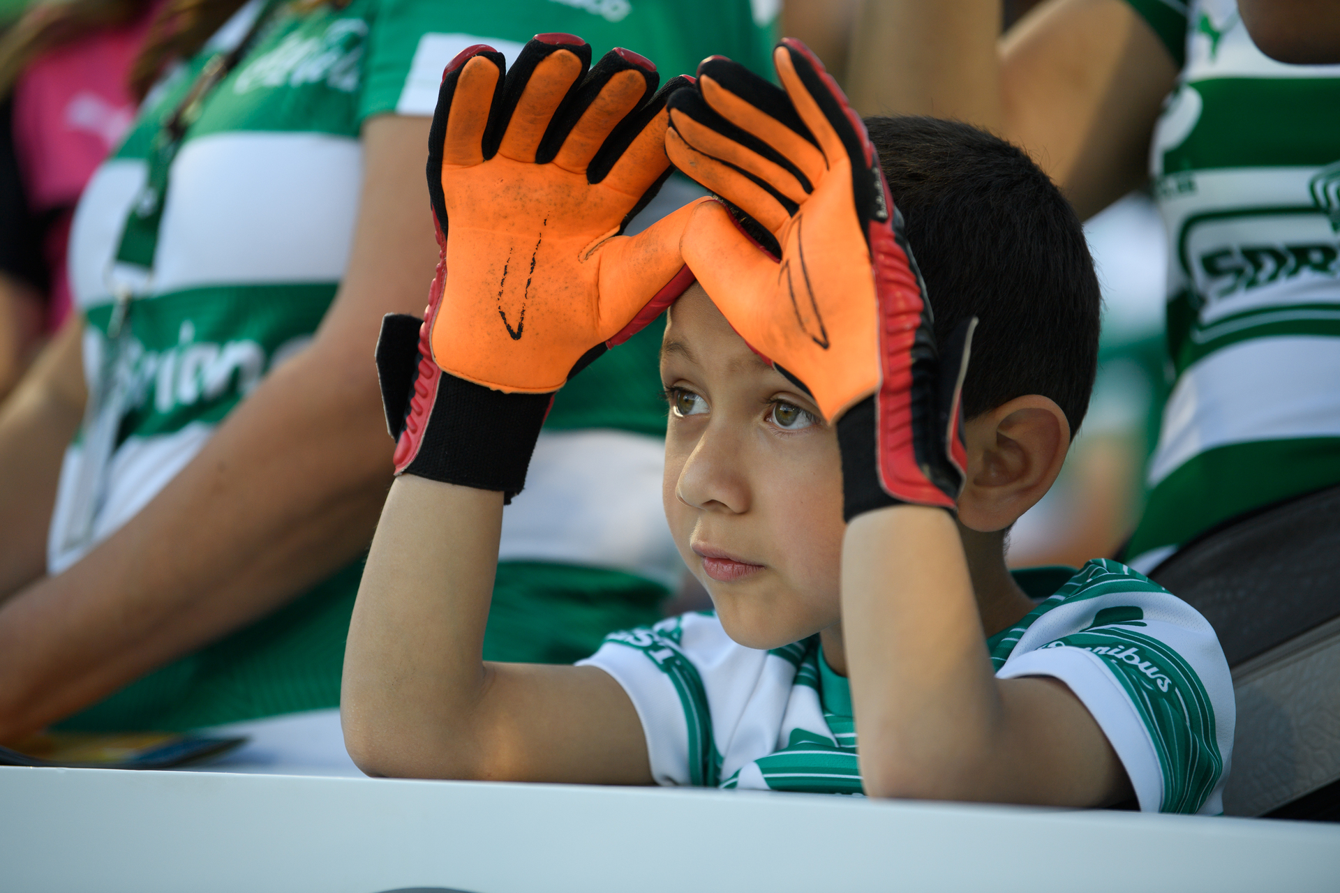 ¿A qué hora y dónde ver el juego de Necaxa contra Santos Laguna?. Noticias en tiempo real