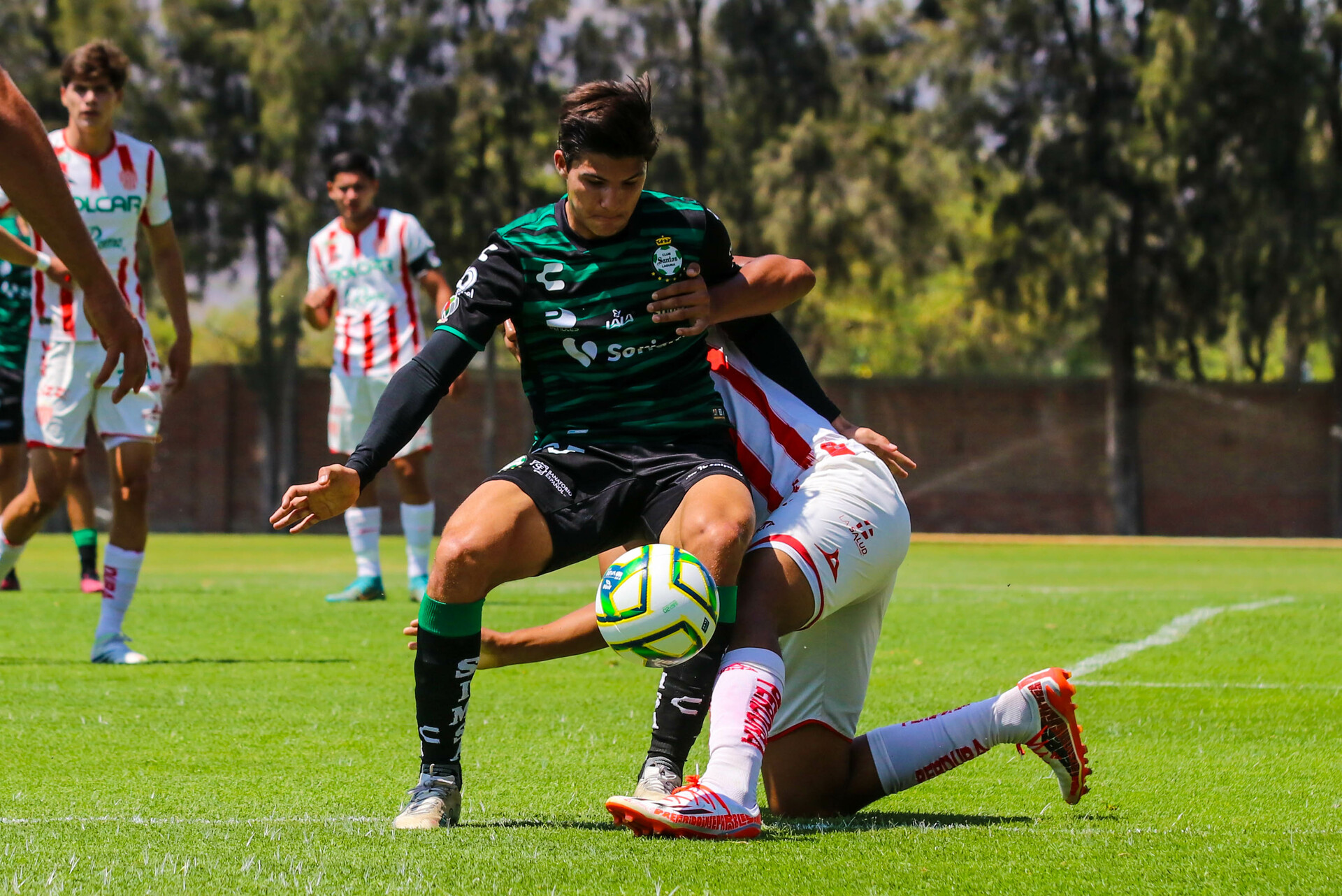 ¡Dura caída! Golea Necaxa a los juveniles Sub-17 de Santos Laguna . Noticias en tiempo real