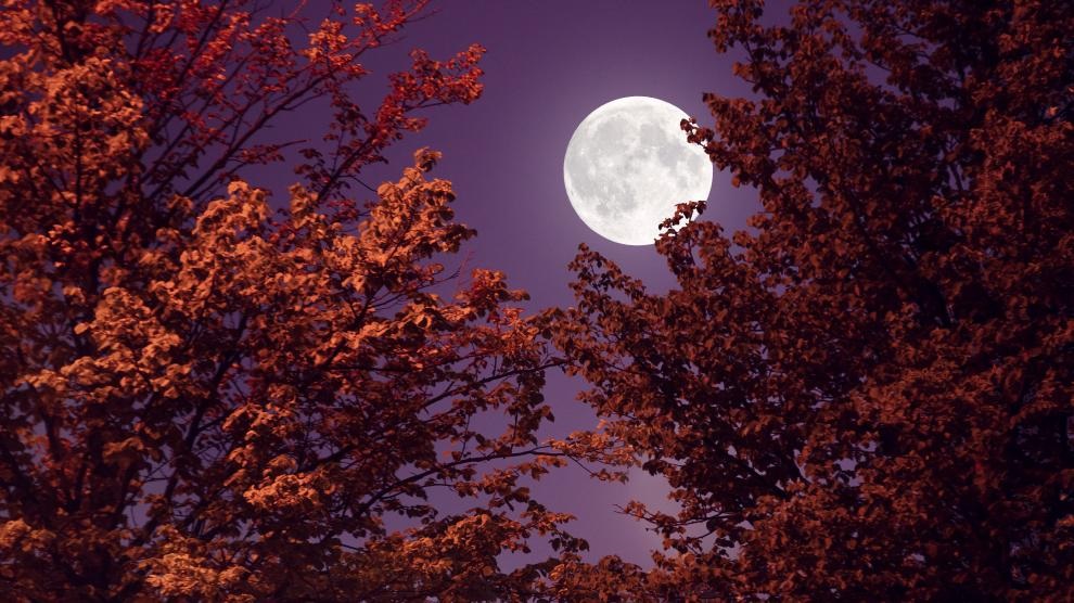 ¿Cuándo y dónde ver la Luna llena de abril 2023?  . Noticias en tiempo real