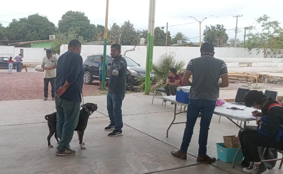 Próxima semana habrá campaña para mascotas en Lerdo. Noticias en tiempo real
