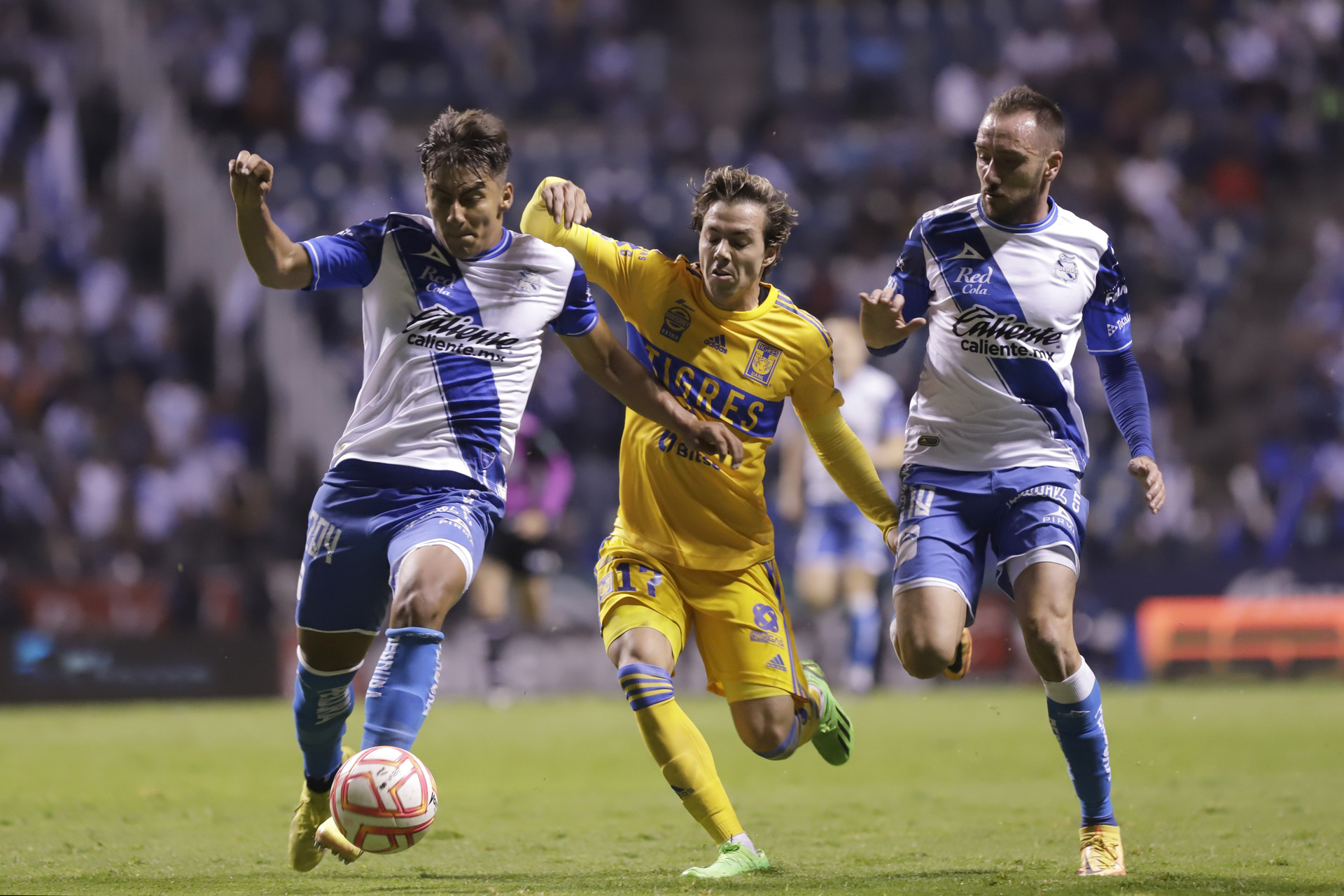Tigres recibe al Puebla en el inicio de jornada 16. Noticias en tiempo real