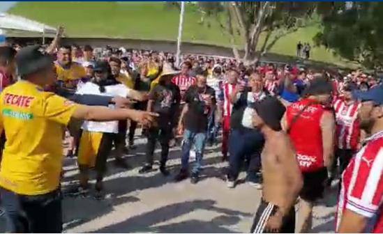 Aficionados de Chivas y Tigres protagonizan pelea en el Akron . Noticias en tiempo real