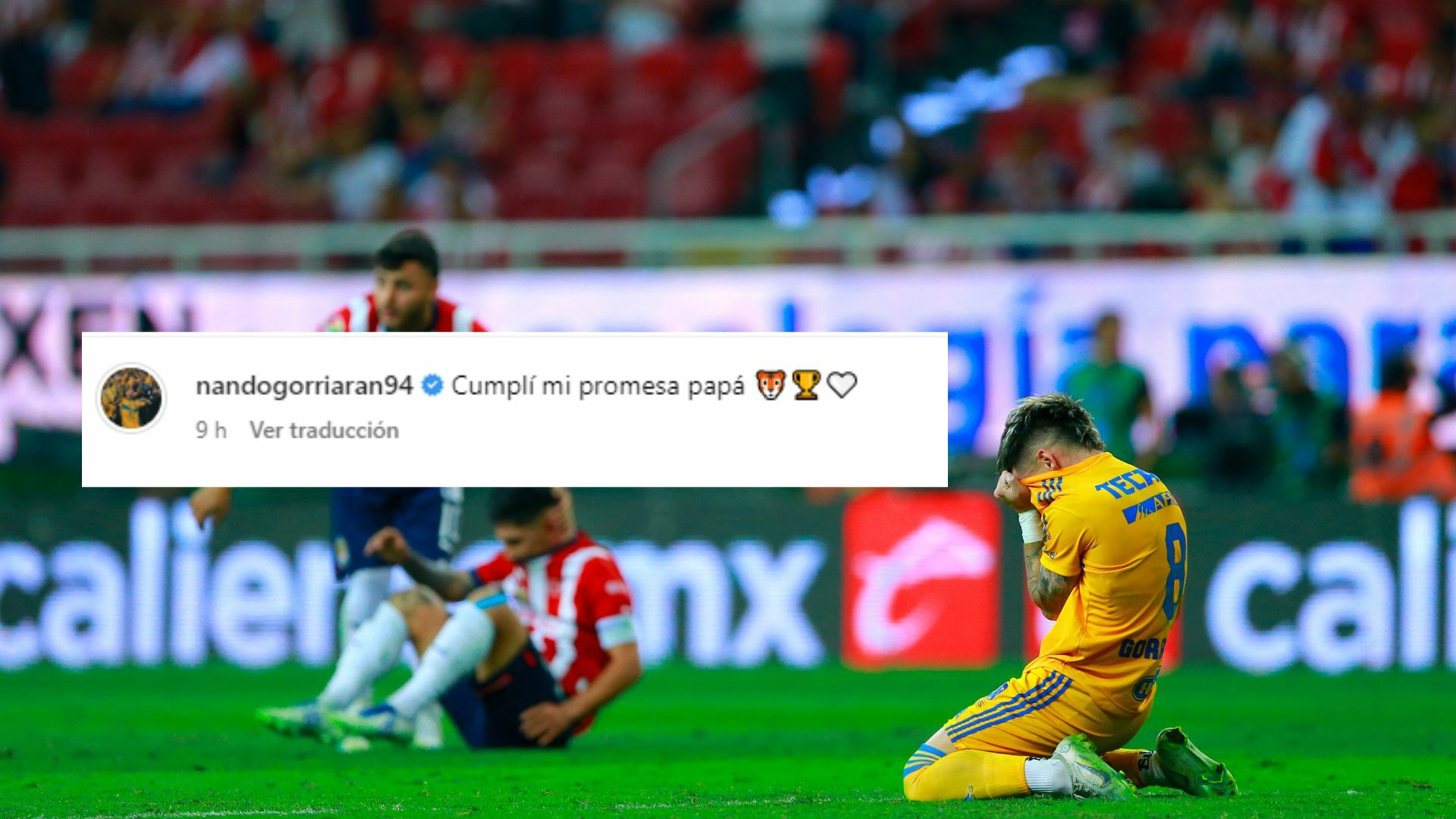 Así celebró Fernando Gorriarán su primer campeonato en Liga MX . Noticias en tiempo real