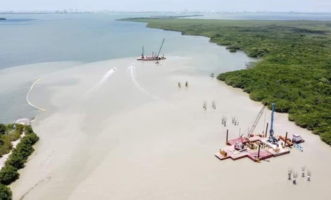 Ecologistas denuncian tala de manglares por construcción del Puente Nichupté en Cancún. Noticias en tiempo real