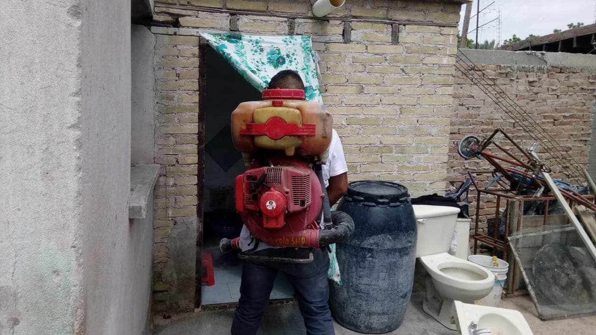Salud Municipal de San Pedro emite recomendaciones para prevenir el dengue. Noticias en tiempo real