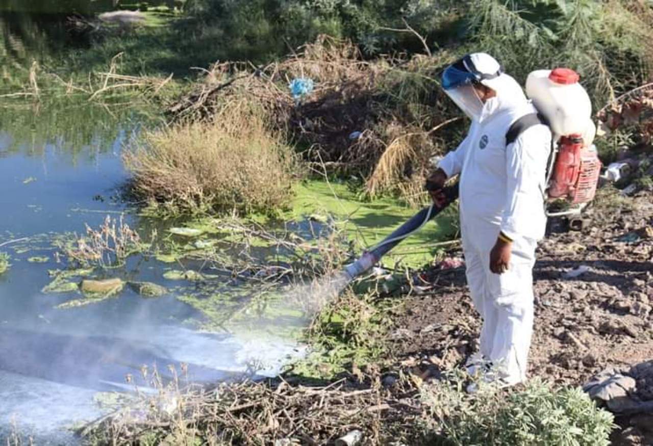 Emiten recomendaciones para prevenir dengue. Noticias en tiempo real