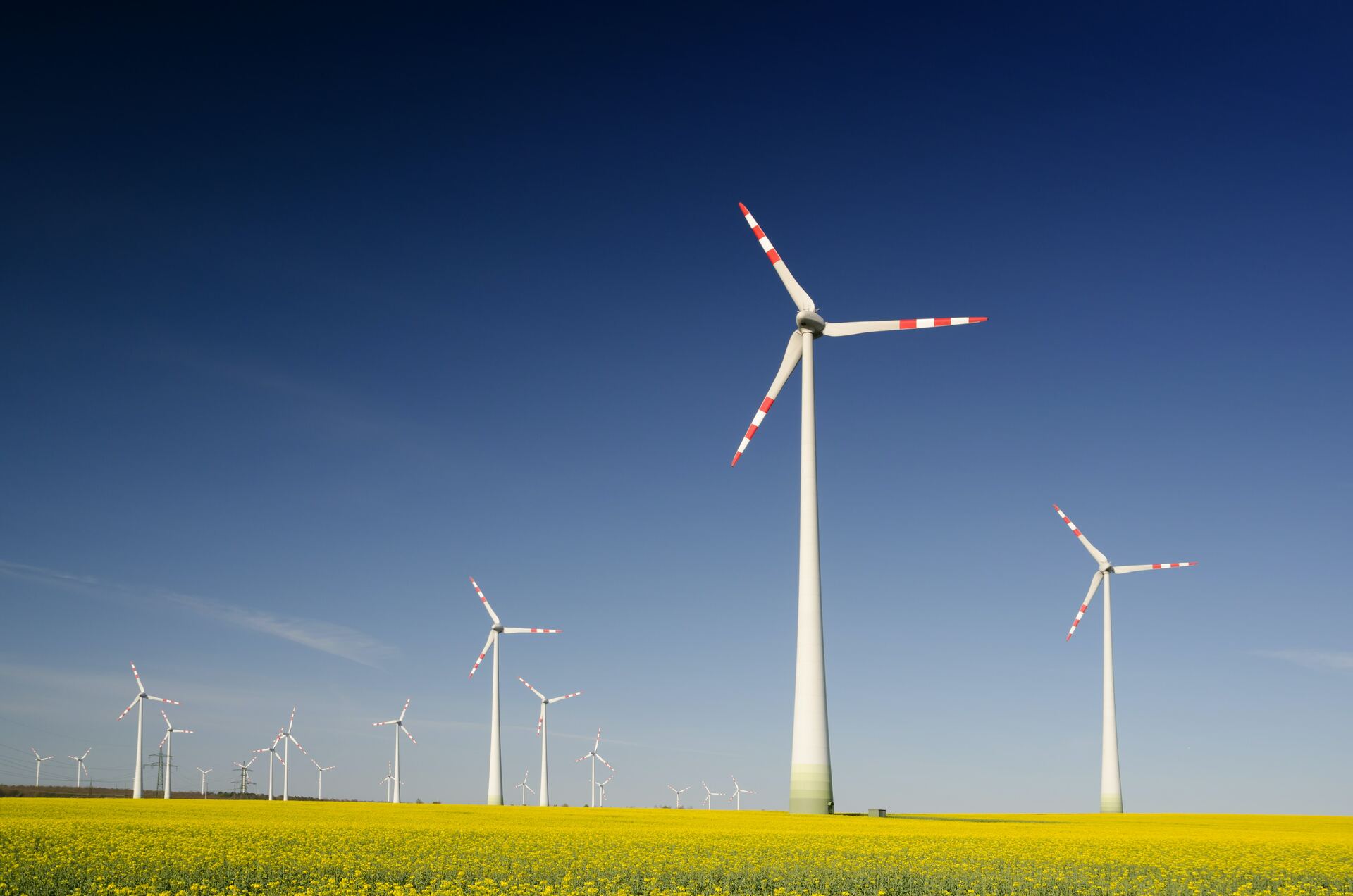 Petrobras y WEG cooperan para desarrollar el generador de energía eólica más grande de Brasil. Noticias en tiempo real