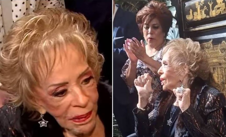 Silvia Pinal celebra sus 93 años de vida junto a sus hijos . Noticias en tiempo real