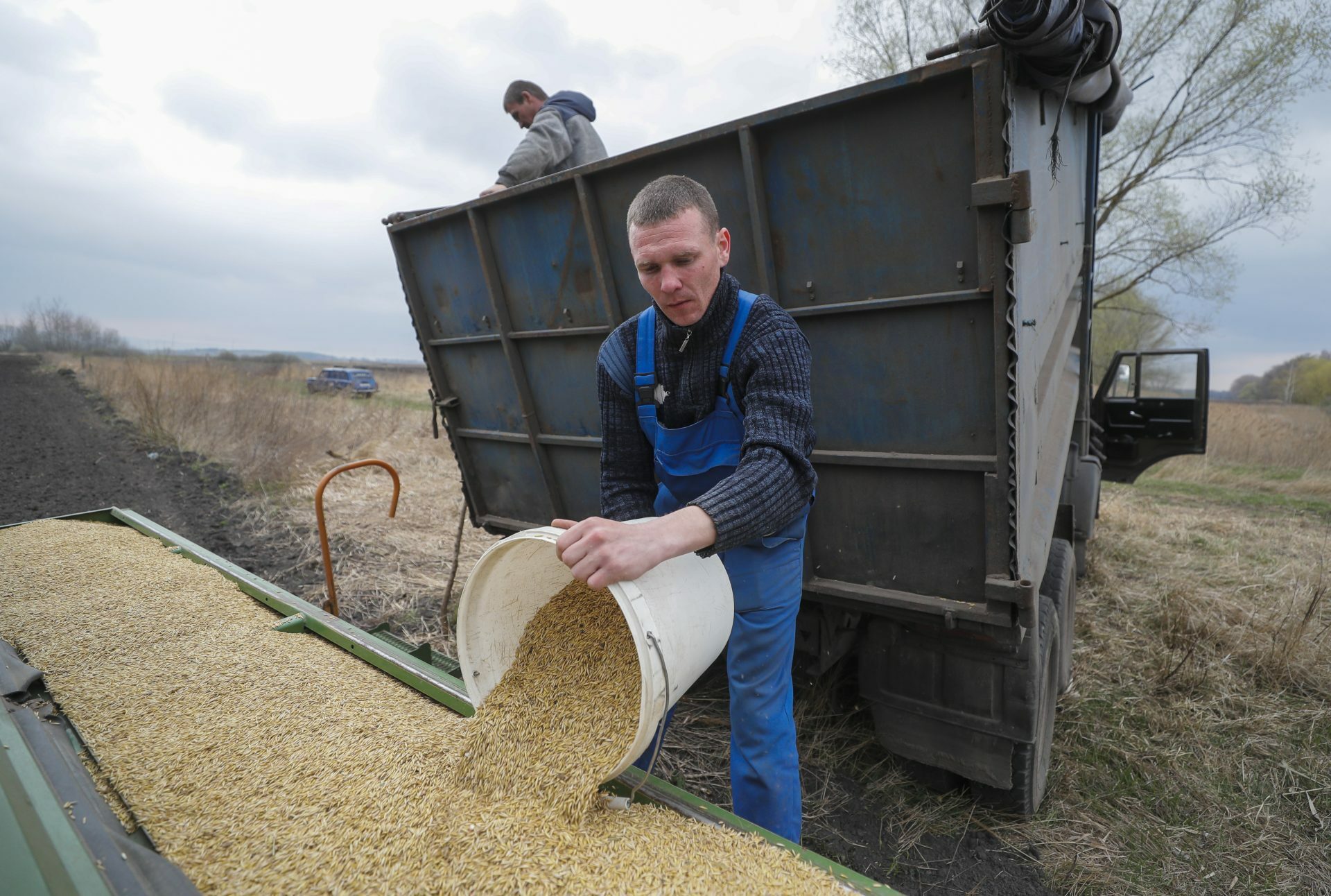 Hungría prolongará el veto del grano ucraniano si Bruselas no lo hace. Noticias en tiempo real