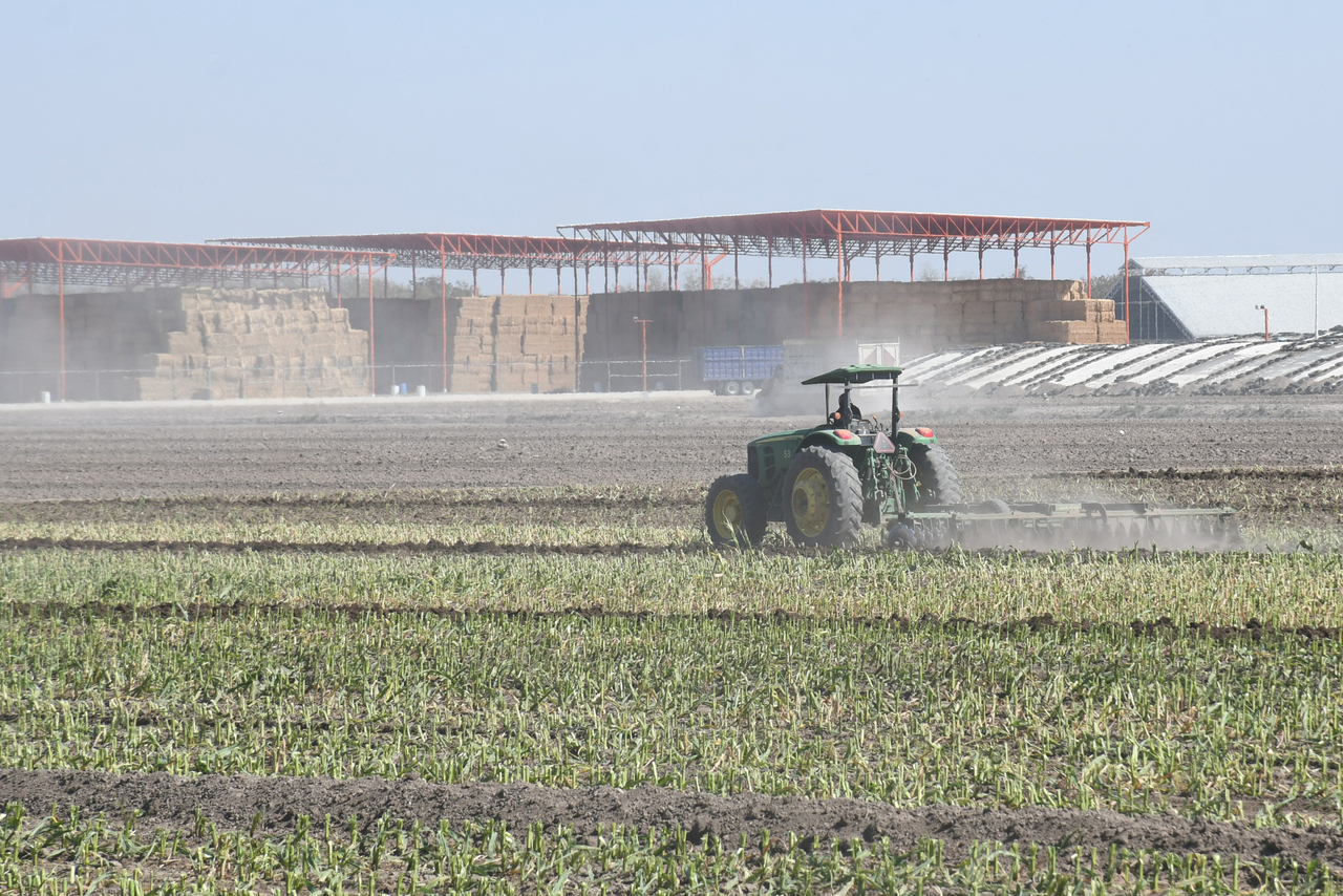 Unión Europea, socio estratégico para sector agroalimentario. Noticias en tiempo real