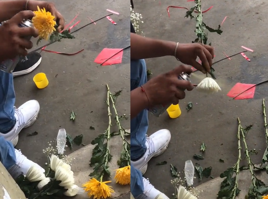 \'Lo que cuenta es la intención\'; hombre se vuelve viral por pintar flores blancas de amarillo . Noticias en tiempo real