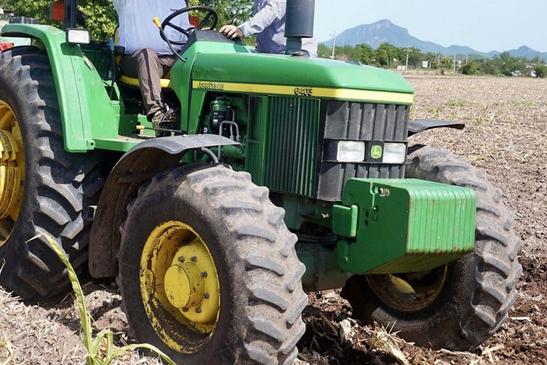 Peligran cultivos en Sinaloa por bajo nivel de presas. Noticias en tiempo real
