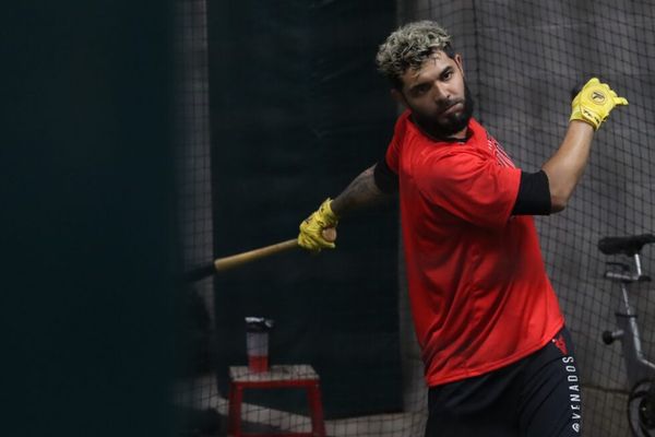 Venados de Mazatlán inicia nueva semana de pretemporada. Noticias en tiempo real