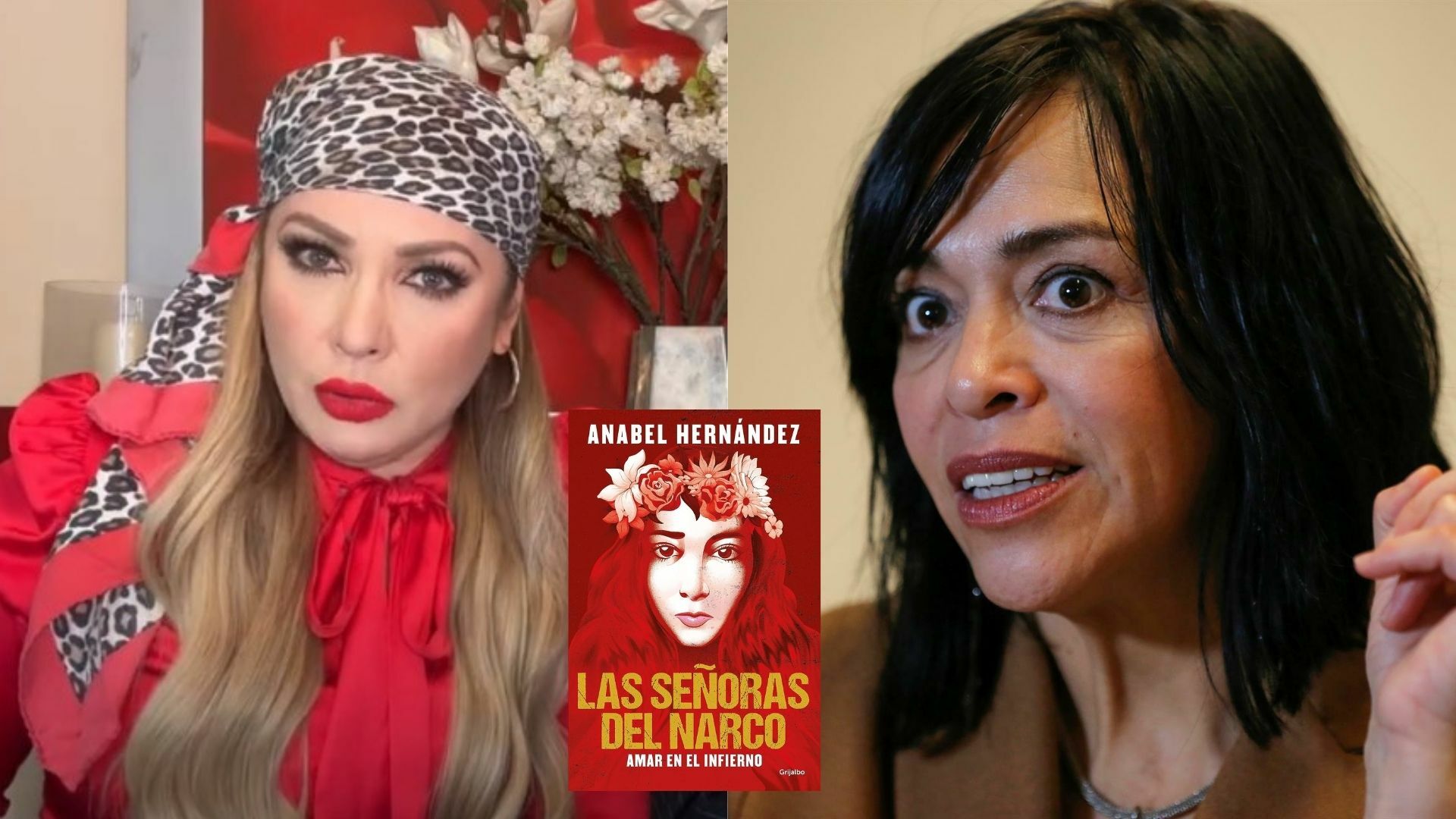 Paty Navidad aclara como conoció a Beltrán Leyva y señala inconsistencias de Anabel Hernández . Noticias en tiempo real