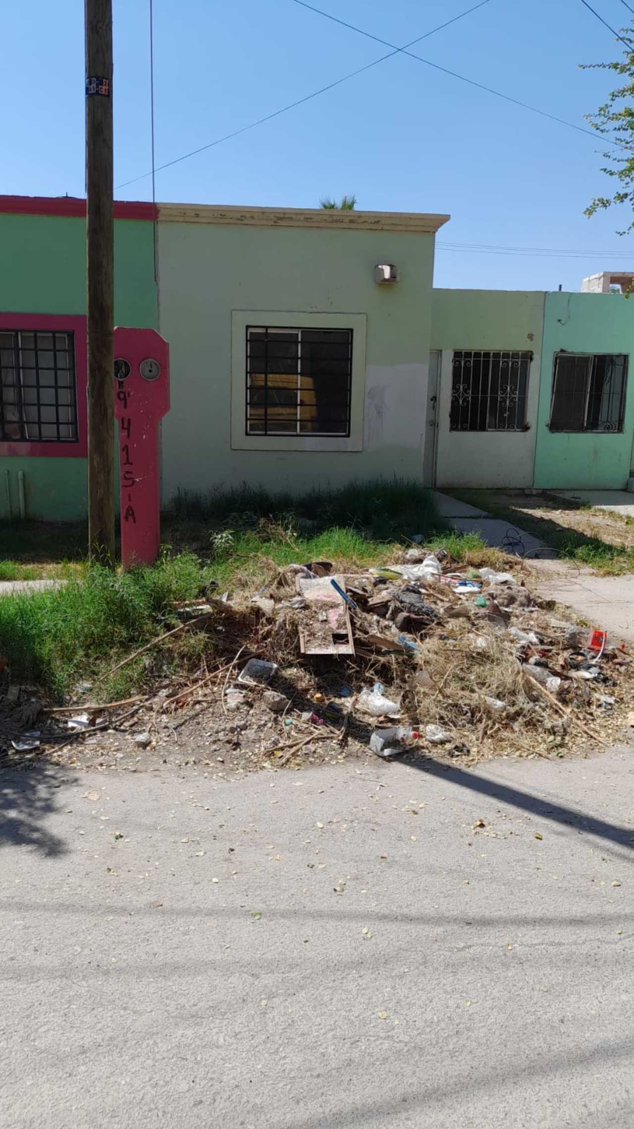 Alerta presencia de garrapatas en colonia Villa Universidad. Noticias en tiempo real